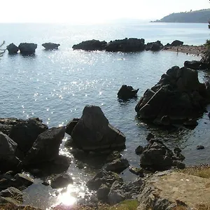 Traditional , Agia Paraskevi (Kassandra) Grecia